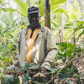 Coffee farmer in Kenya